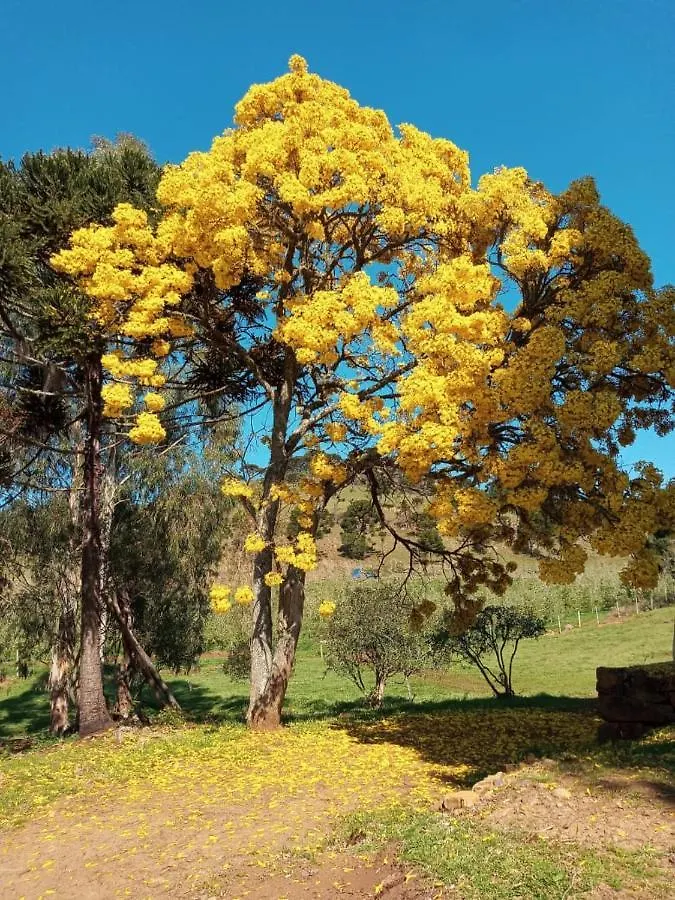 Casa De Campo Passo Do Tatu Urupema