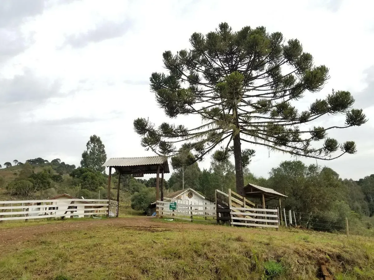 Casa De Campo Passo Do Tatu Urupema Homestay